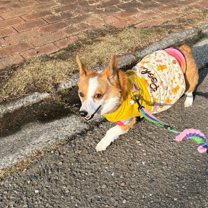 Fa95d945 62e0 44b9 ac23 fdf90dd386a0 1773126059281