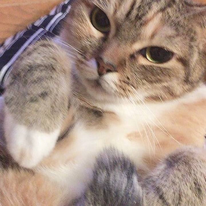 Fa95e270 b353 4221 a649 a443524aad26 1572708780830