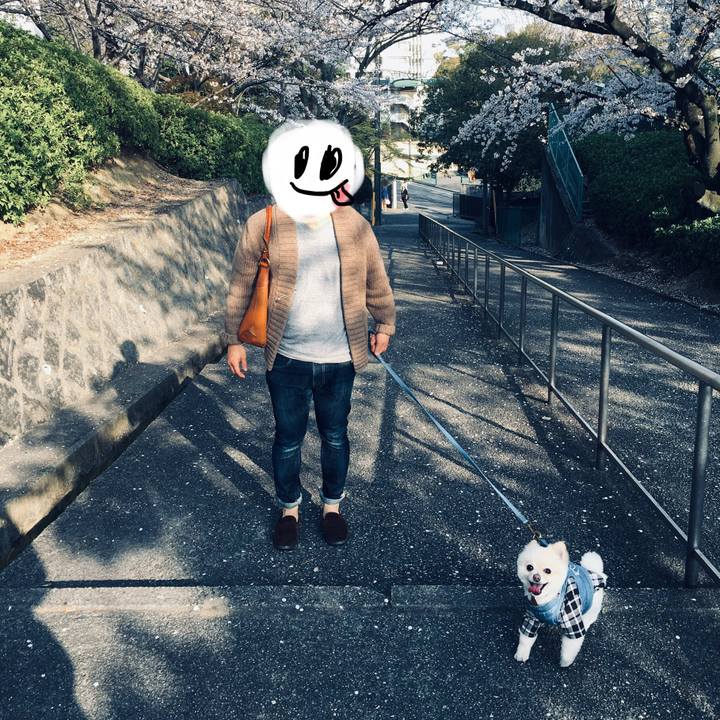 Fa95e5f5 64d1 4f55 88dc d45f7eb4b7cf 1554548863302