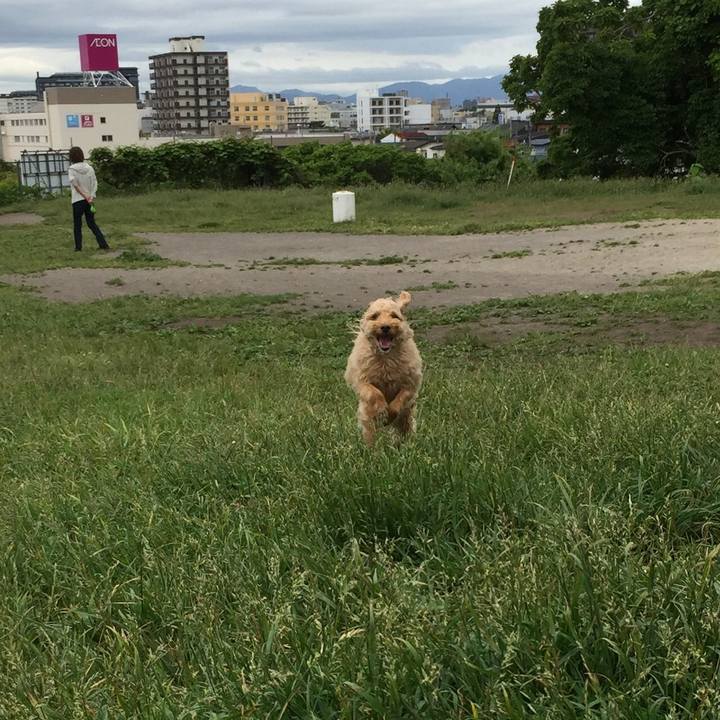 Fa960088 0930 4087 907c 18081cd79144 1592658869354