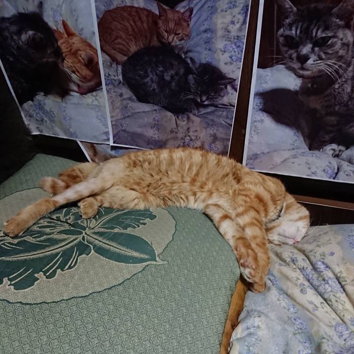 Fa963227 c9fc 4ea6 9e21 2b02fbc5ce8f 1657542349448