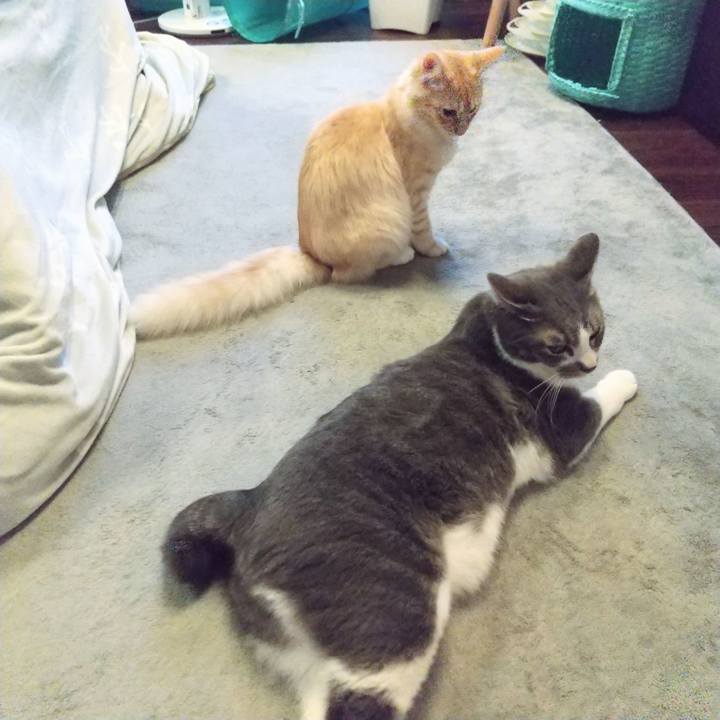 Fa96519d 22e6 4134 a56a 7422d60f63a3 1616623436345