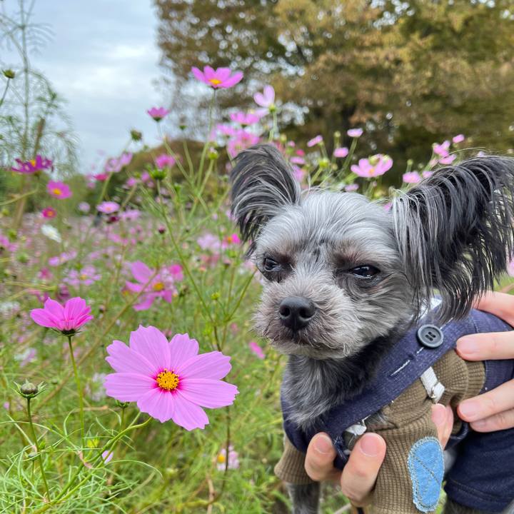 Fa96af02 4cd7 452b 8205 cab6fb1de08d 1762128173004