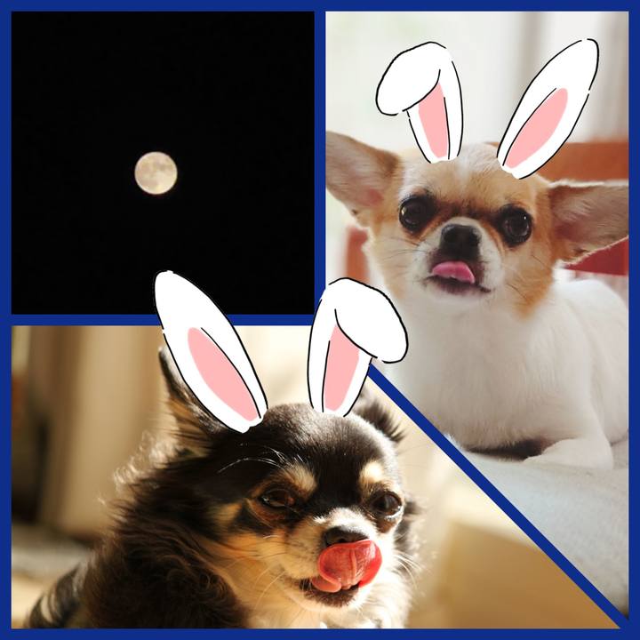 Fa96dbcd 06a3 435a 9109 4a26cf3a1fd4 1632226047504