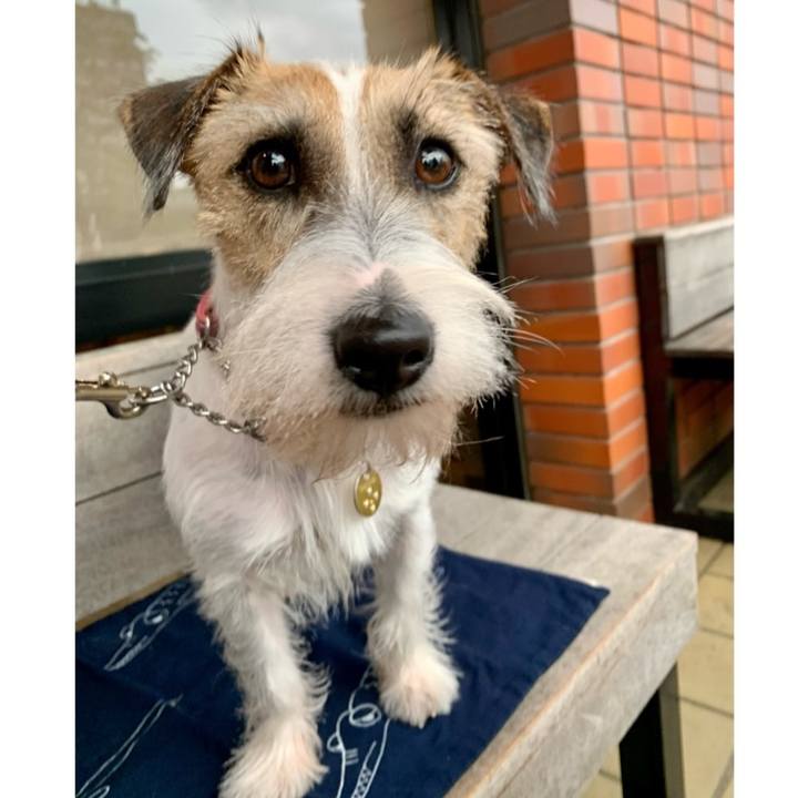 Fa971061 d4c0 4c71 8480 131daa22481f 1604223190579