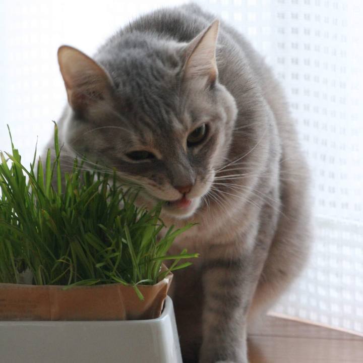 Fa9723ef a49b 42ae 8687 5c2093233705 1550374227126