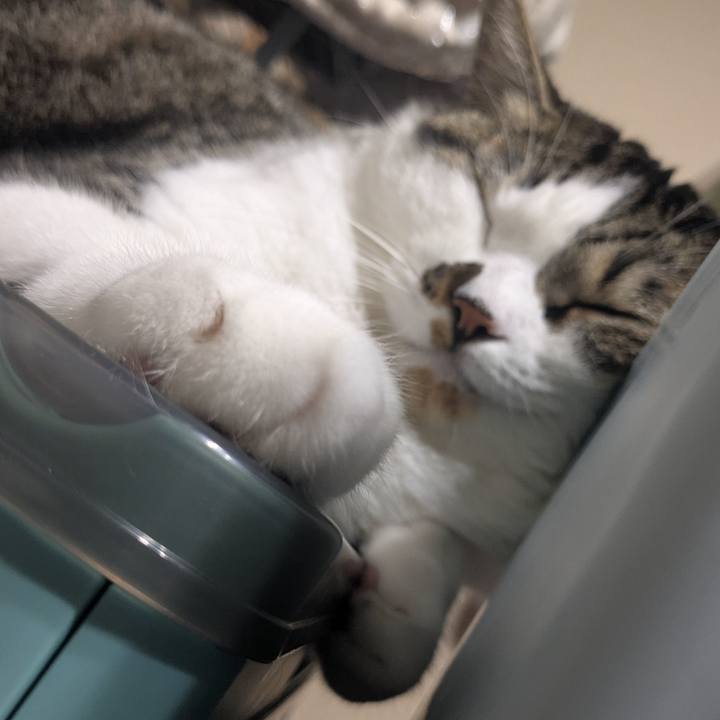 Fa972451 ef10 4641 a1de ffa122f6c79f 1752576987966