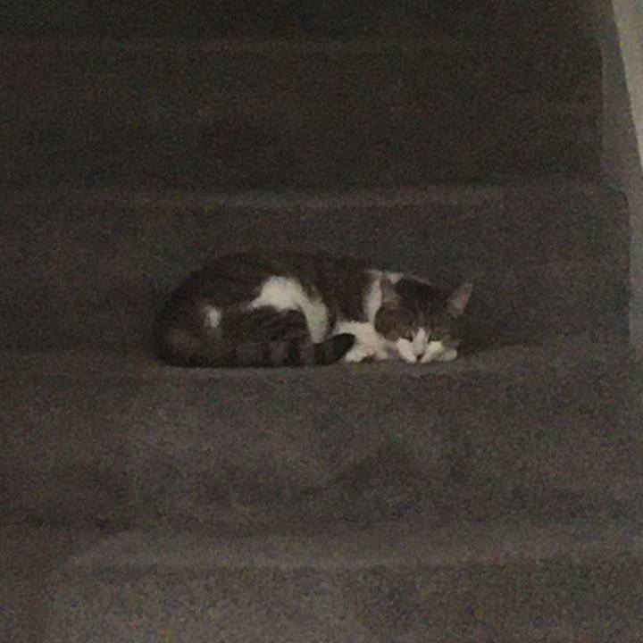 Fa973364 273b 43f8 abb0 189d0e182115 1653955378202