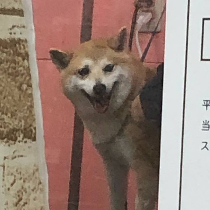 Fa974770 6cf7 4928 bf11 f6d813cad69b 1587210301884