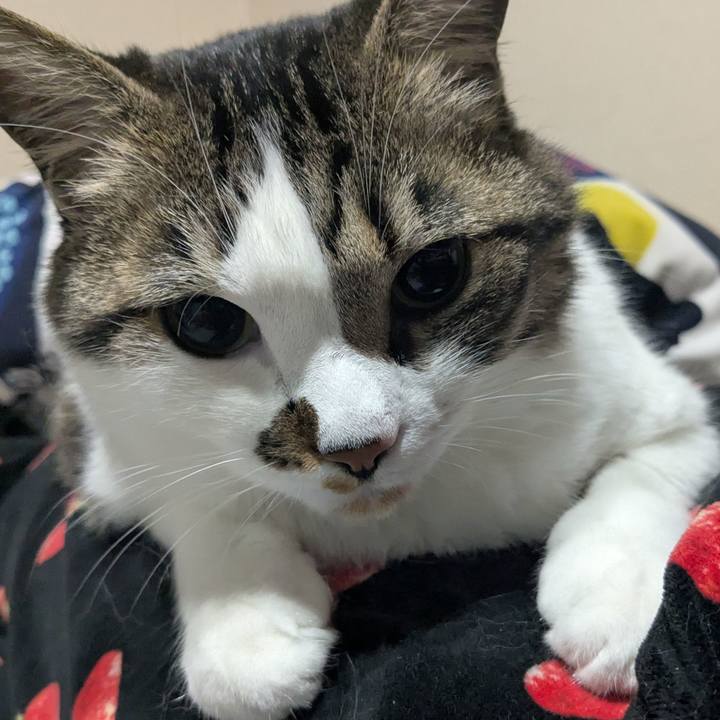 Fa975ca5 5b23 419f a6e3 2eb7acd0ba7d 1746501626069