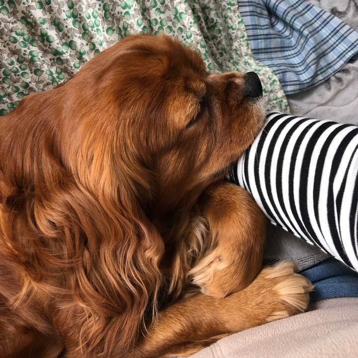 Fa97bd1a 4a0e 4f31 bfe1 e7ee0c2b195f 1649132252350