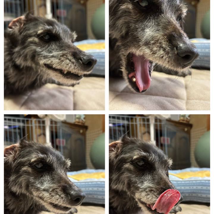 Fa97bee7 fdb3 4e59 b2fc 1317d59413b8 1760743055274