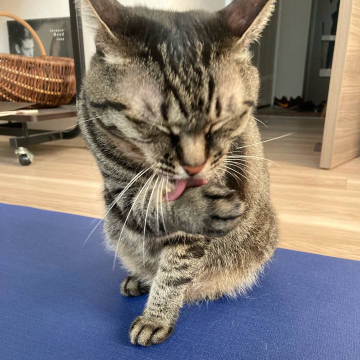 Fa98022f c414 4974 9853 cd6918dcc349 1597820973291