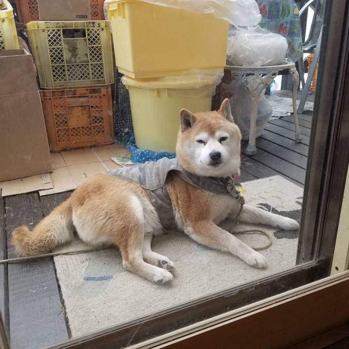 Fa980334 ced2 4dc4 9fb4 c578d9333500 1648266057992