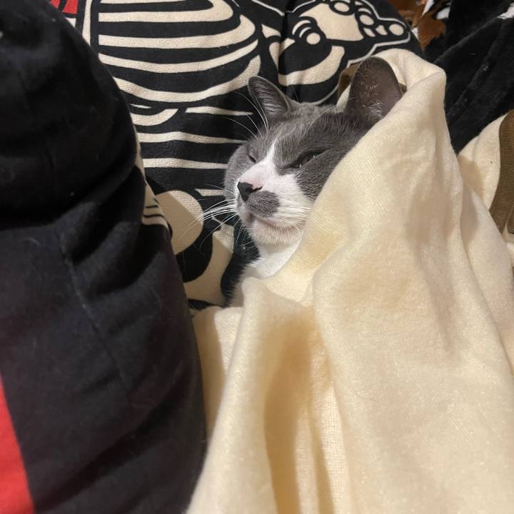 Fa987143 be89 4ab2 b3b3 b55360d0517c 1732450210500