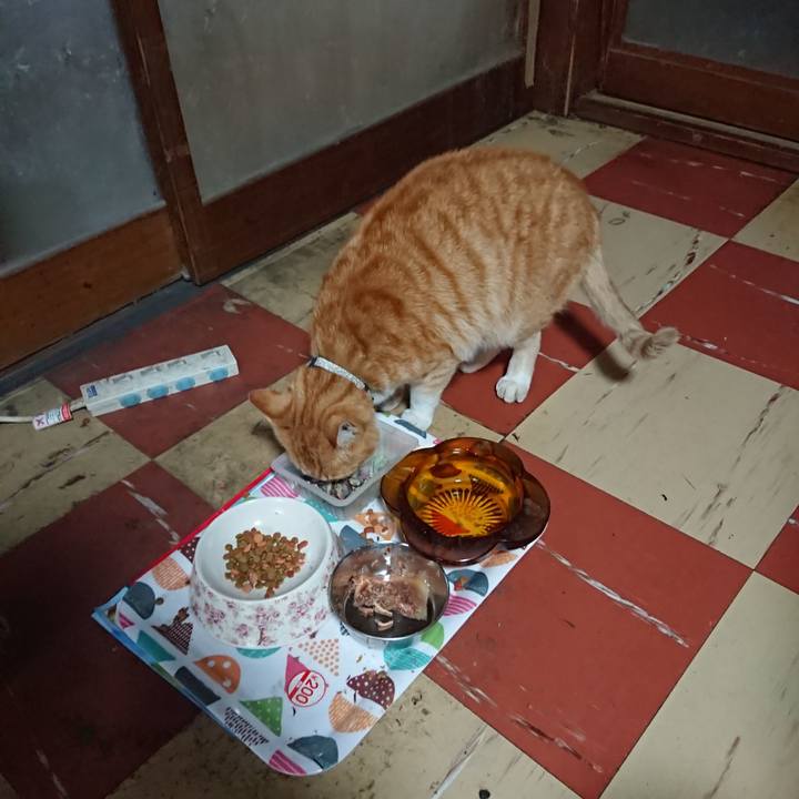 Fa988be7 b9f5 40aa 8a73 726a85b8c975 1588064669970