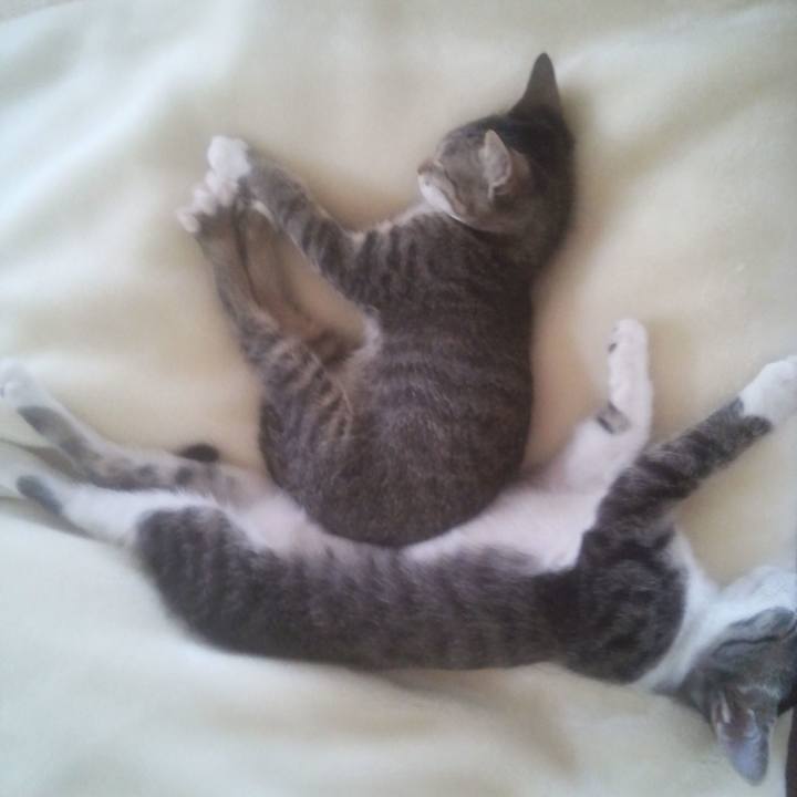 Fa98a51f d738 40b2 8db1 6ad270607bb8 1612277067781