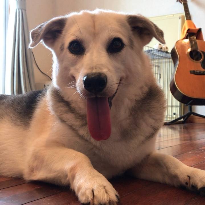 Fa98a8ec e5c7 4bac ab7b 47bc02757580 1593829620957