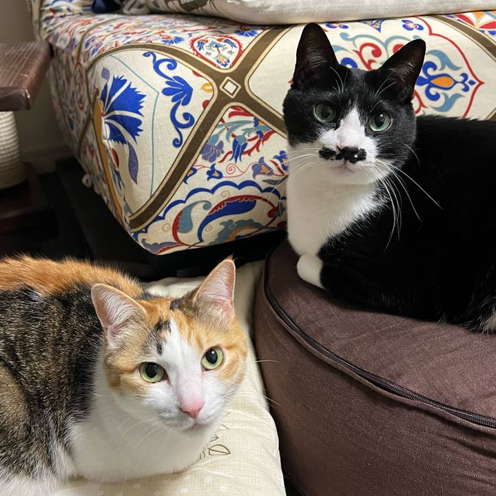 Fa98c379 326d 4d96 b8e9 dffaa5e5f1a8 1769781073525