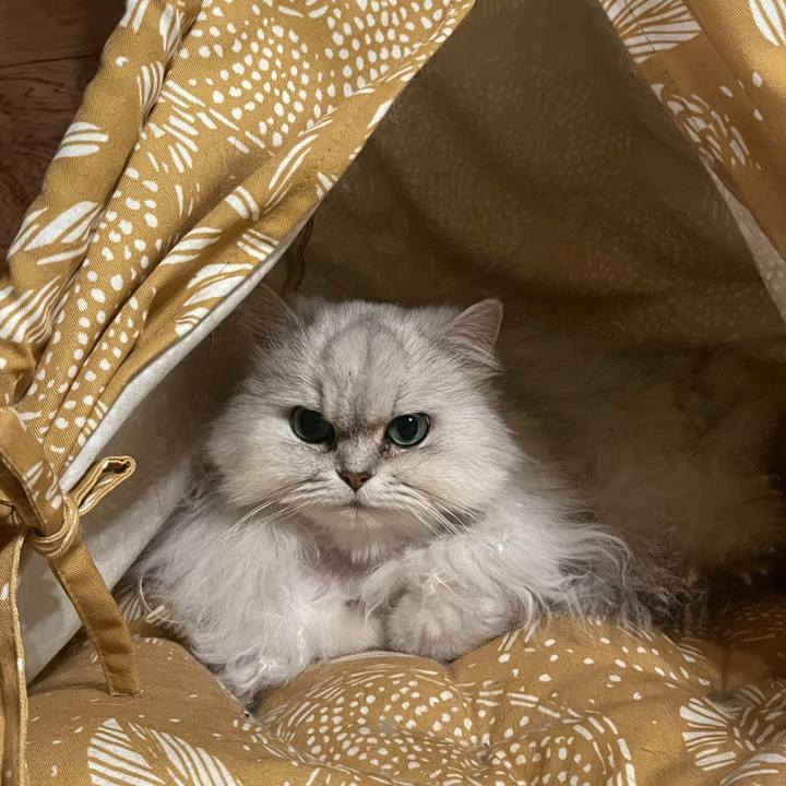 Fa98d084 3024 4bd3 94b2 f2f6e72ec901 1649250677253