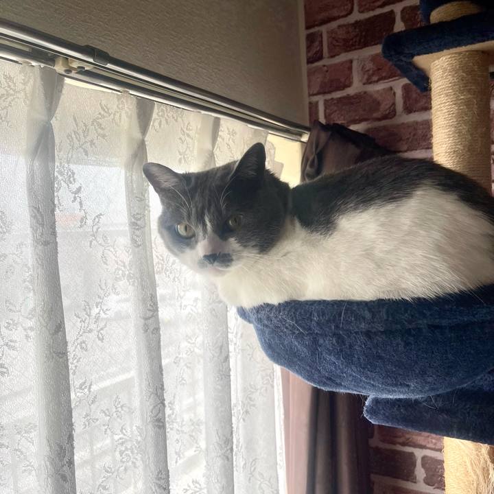 Fa9924d4 b8bc 452c 9a30 1b96a583c79d 1683332402870