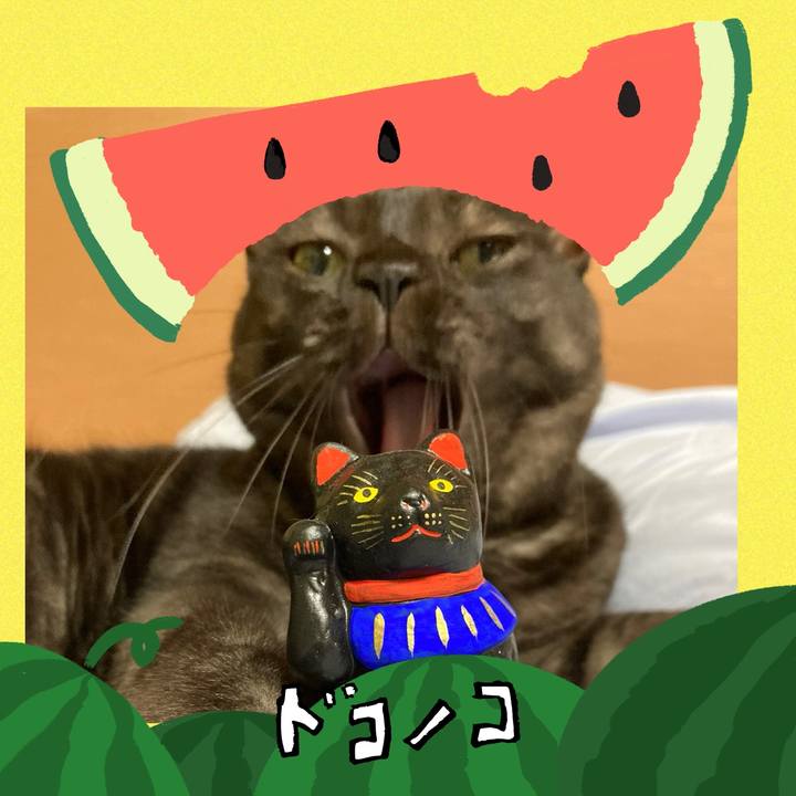 Fa997011 0b07 4825 9ed7 daa574c726ef 1720850778553