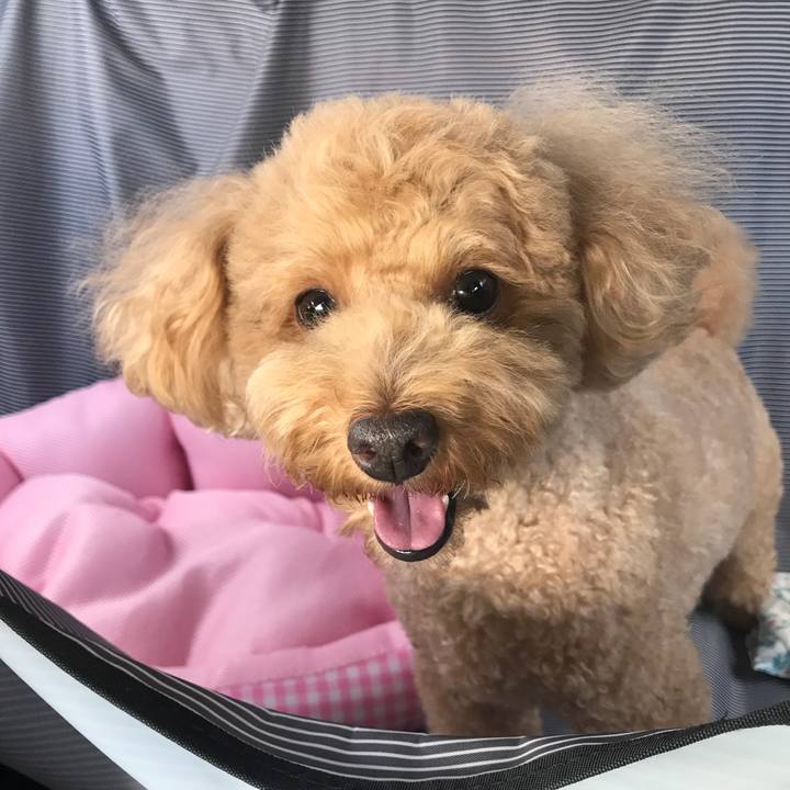 Fa997a5f 3d74 4003 b140 e5444b8eb579 1535690519098