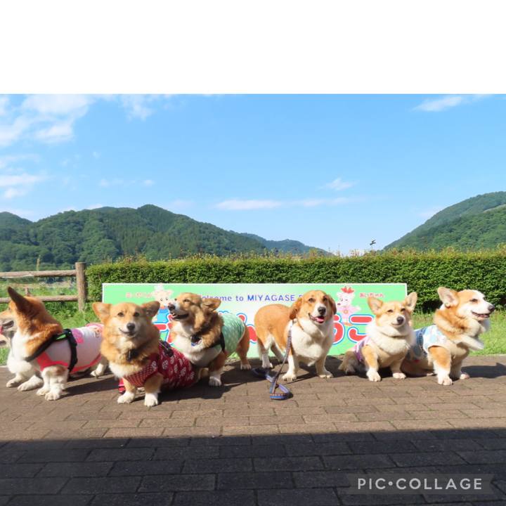 Fa99b258 48ed 4362 90a6 704ffe84518c 1621773825179