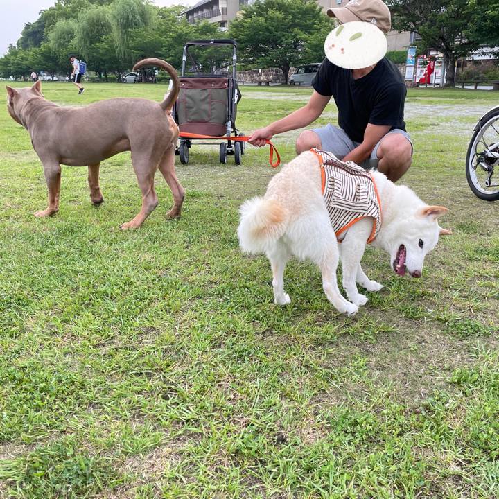 Fa99b597 42ab 4d29 9141 4dd209e5e02a 1655471797629