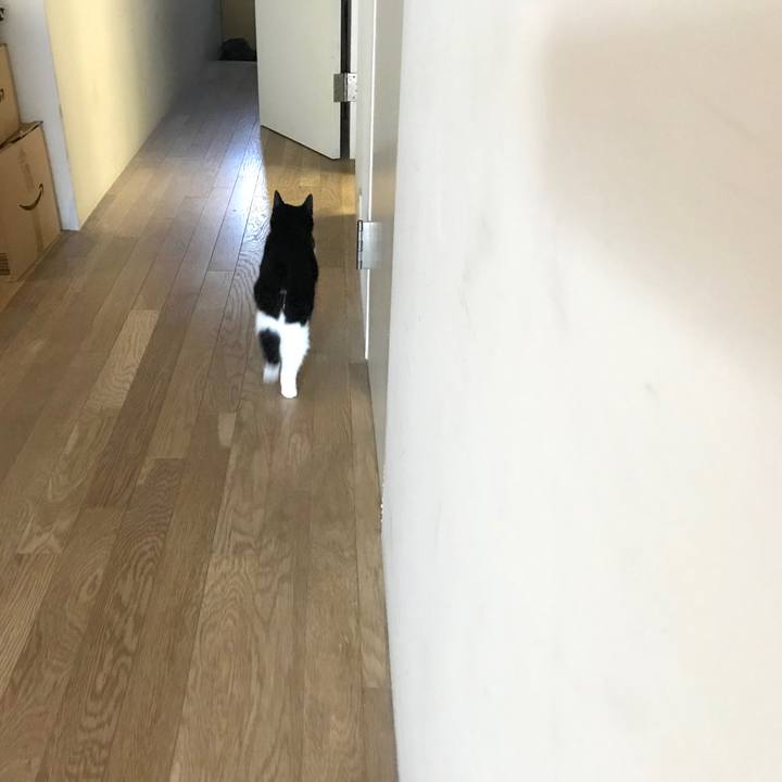 Fa99b6d5 d9bf 48fa a731 cc7fa77c8032 1575806430156