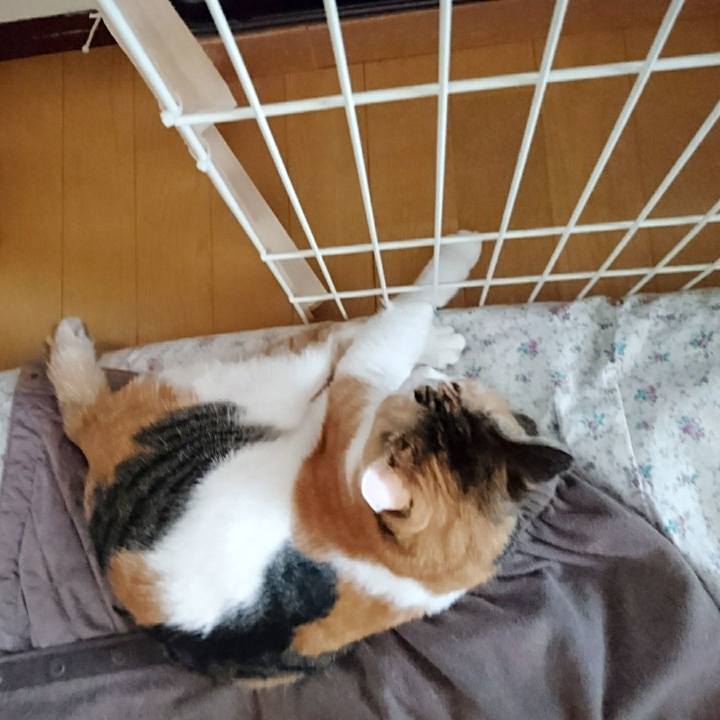 Fa99bf91 460a 47ea b3bf 6defb25a1538 1553404365767