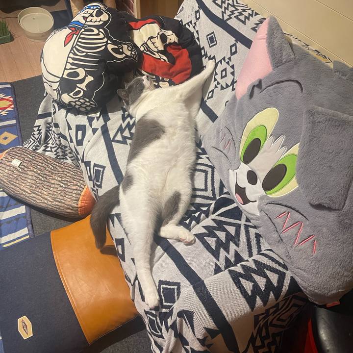 Fa99c238 4c7f 4a18 ba65 cff71593f256 1690115412661