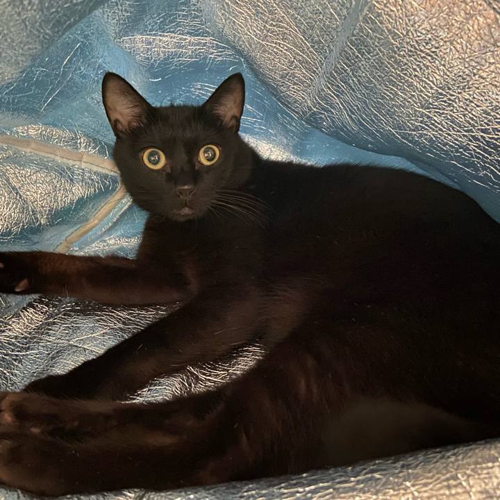 Fa99c830 3f25 48f9 a56a ca86913ddc77 1693831672217