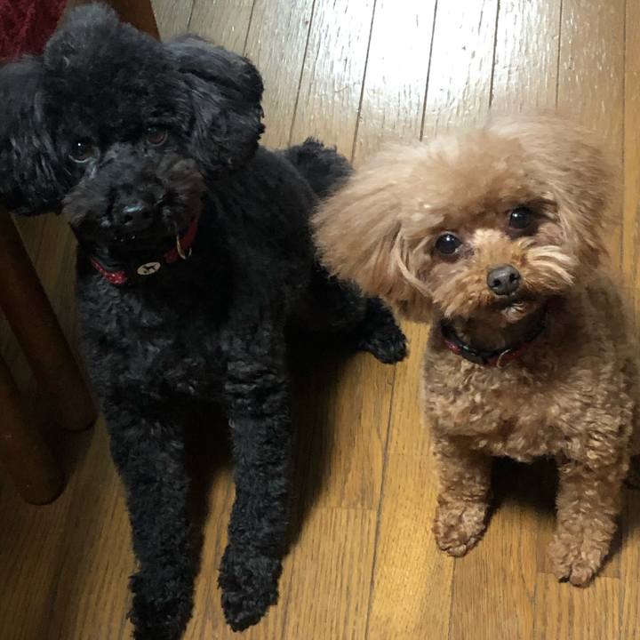 Fa99d671 ad9a 4086 ae3b 19c92639b9dd 1614070744248