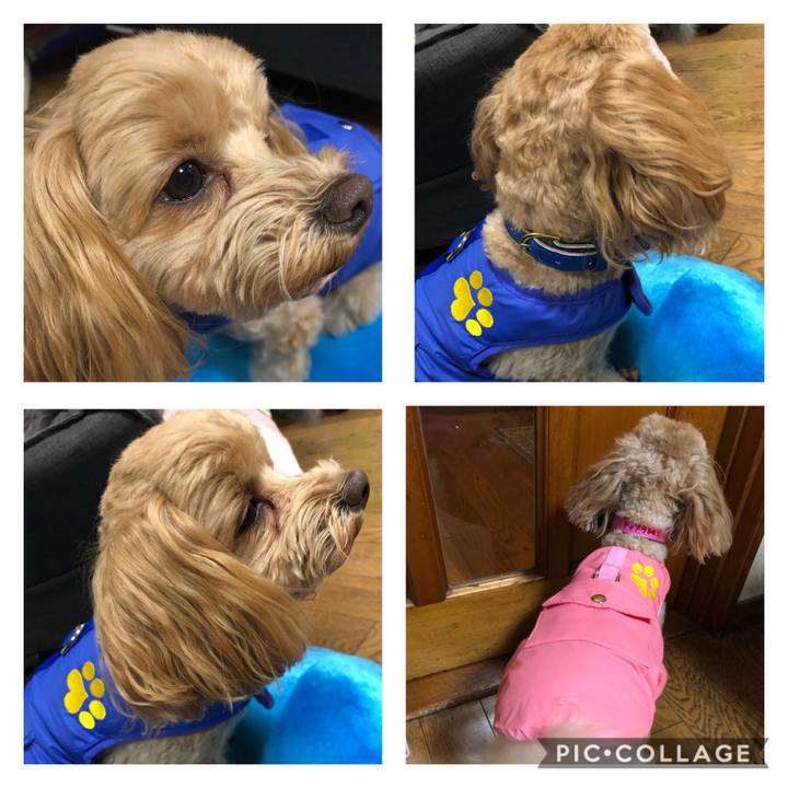 Fa99e5b2 1159 41a9 bfdc 1790168ecfc8 1607111174178