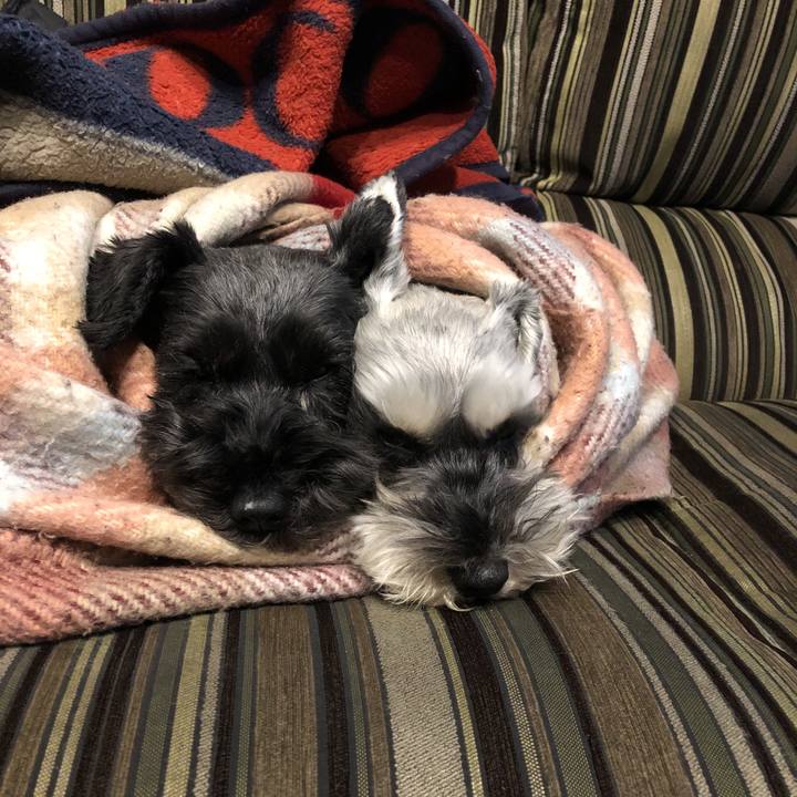 Fa9a1495 a49d 4dfd 97ff d2dbd93b8f58 1586077194505