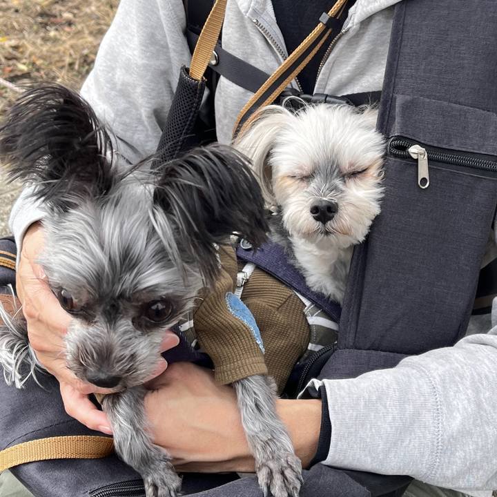 Fa9a17f7 b451 4d57 917b f153d6d821bb 1762079677737