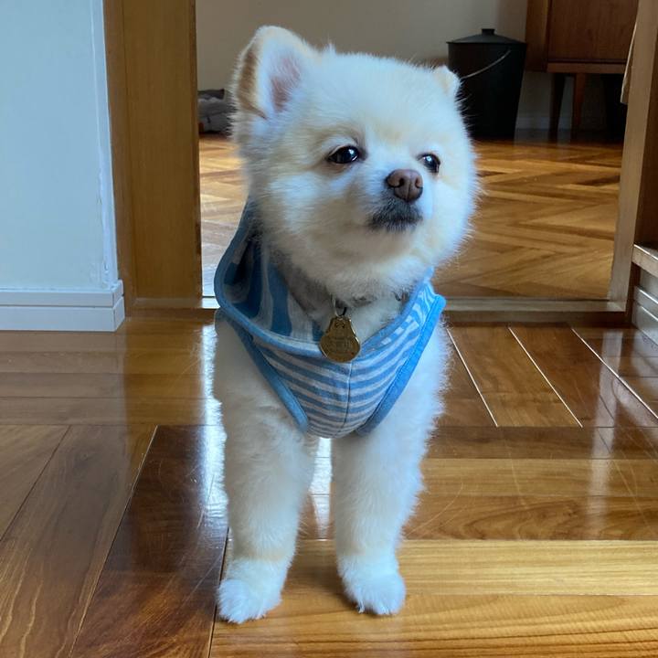 Fa9a2502 8537 41cb b7c6 b13748455cd6 1634866007300