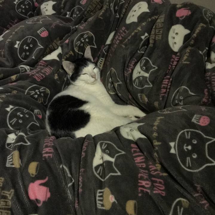 Fa9a37c2 3dd4 4429 a135 0b6bab938284 1518709472185