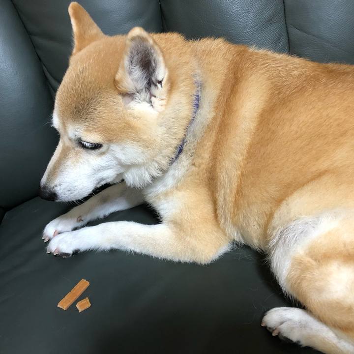 Fa9a3897 fd0e 400e ba31 d26140e87266 1599350191005