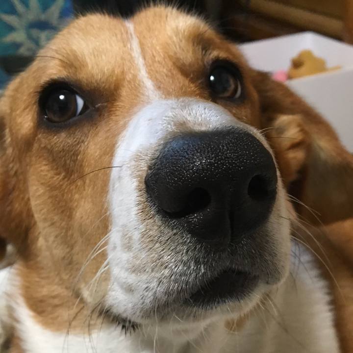 Fa9a38ba 3f90 40de ae93 3e7b7a5c764d 1607218199547