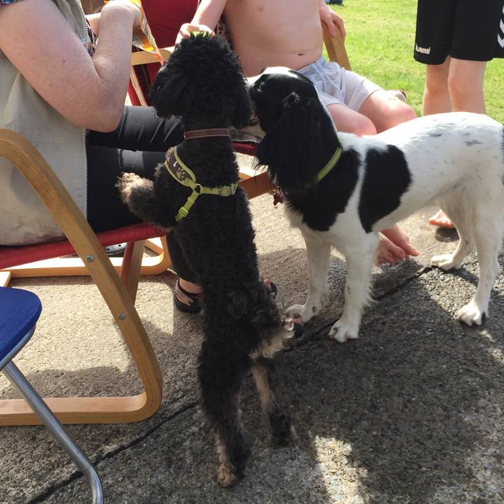 Fa9a9eaa 1d9c 4502 821f 2217e855db57 1528200350837