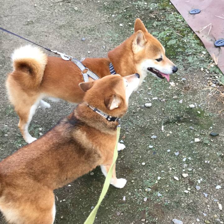 Fa9aa7e2 1d13 4897 ab54 8f40e508982c 1600417125364