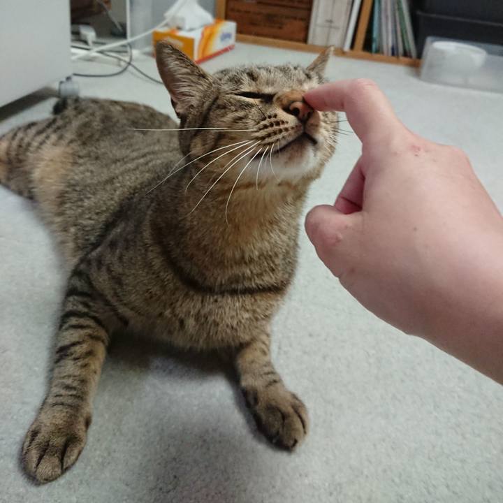 Fa9ad22c 9cbf 4dd6 827b 581c9b525dac 1570184671945