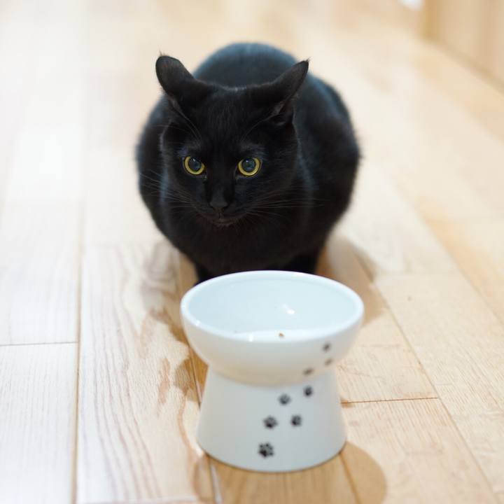 Fa9ae703 afe9 454d 8ba6 3672d642d1db 1553558156376