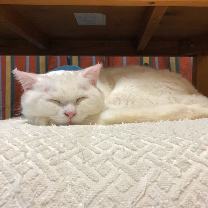 Fa9b1142 fb64 4623 ba5d c0c46e323452 1572267285559