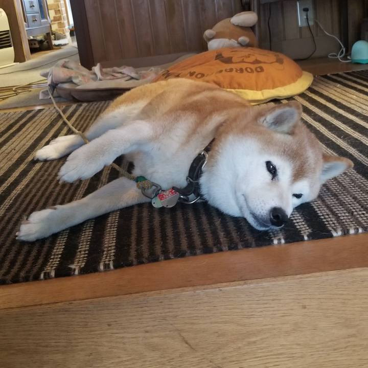 Fa9b1432 327b 4eb1 a8c1 29b67fdc0ba0 1695011953920