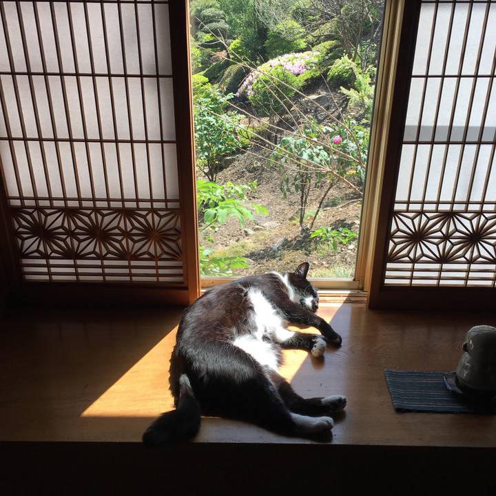 Fa9b3e0a 4e2c 45d1 98c9 099088362d99 1525583439972