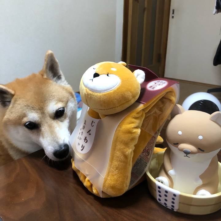 Fa9b3e74 a8a0 48e0 a5e2 eea26a5c5a02 1569851189481