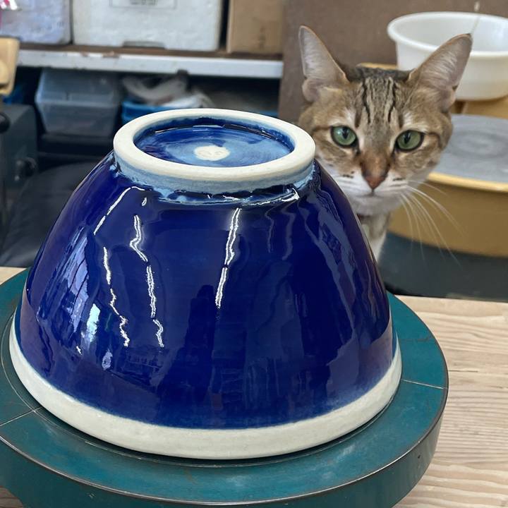 Fa9b43ad beb8 40d8 9e4f 5f5bc2e91cf7 1700626618448